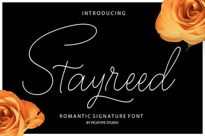 The Excellent Font Bundle - 74+ Fonts - Artixty