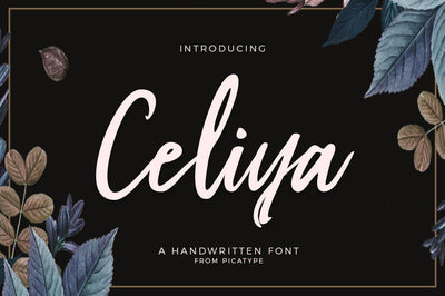 The Excellent Font Bundle - 74+ Fonts - Artixty