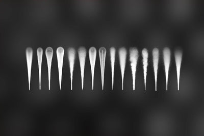 Trendy Procreate Brushes Bundle + Bonus Font - Artixty