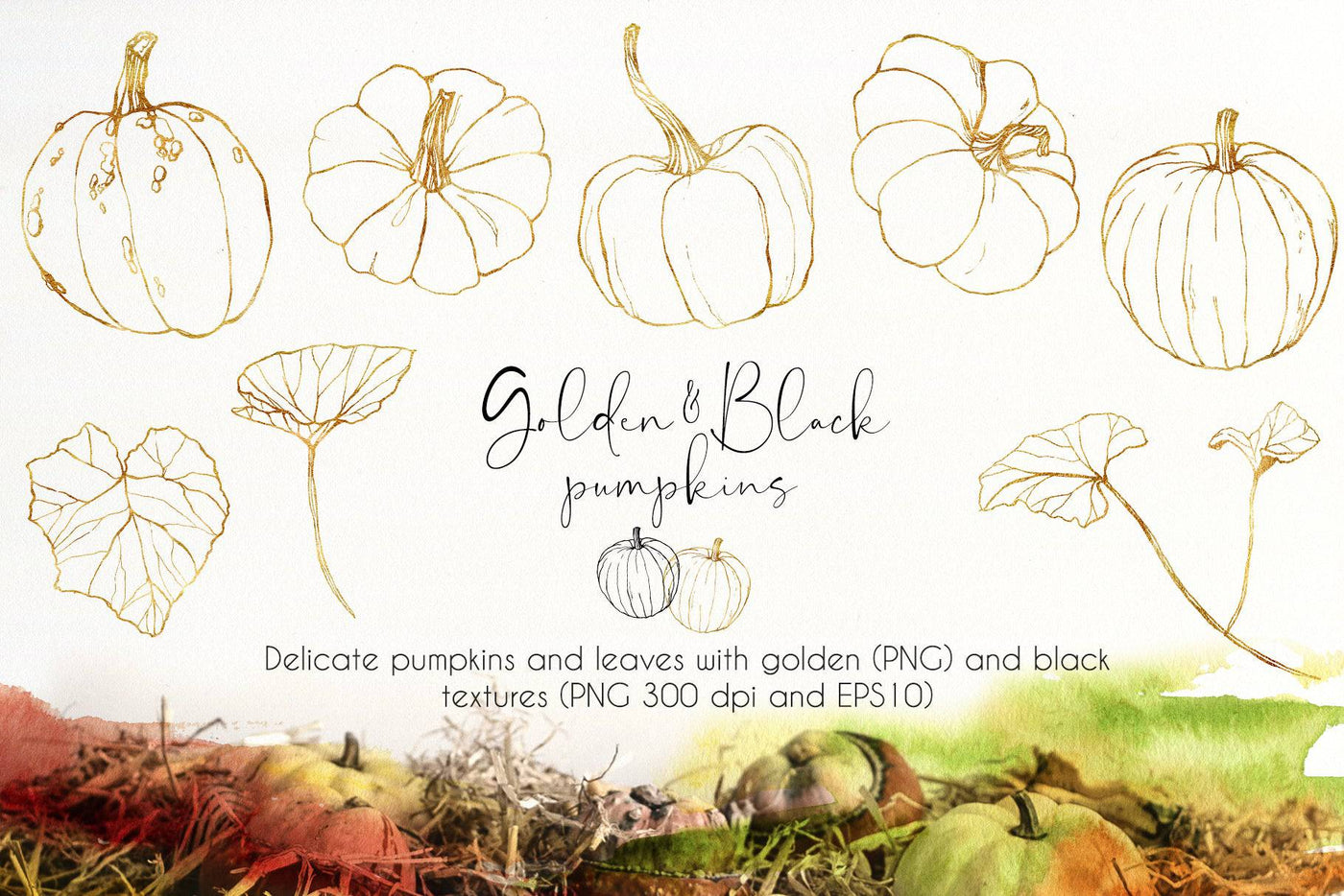 Pumpkins Watercolor Creative Design Bundle - Artixty