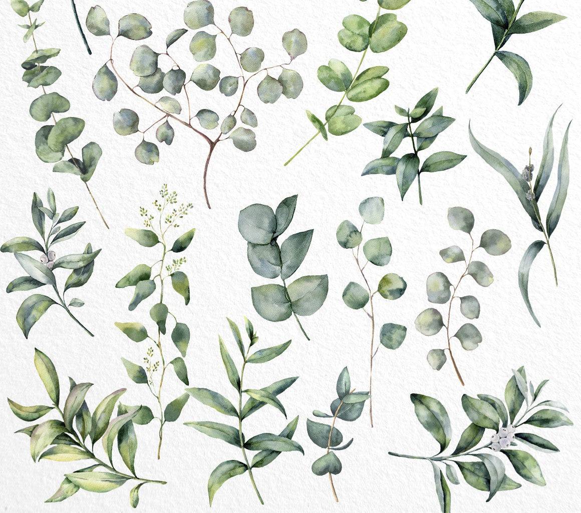 Eucalyptus Mania Watercolor Design Bundle - Artixty