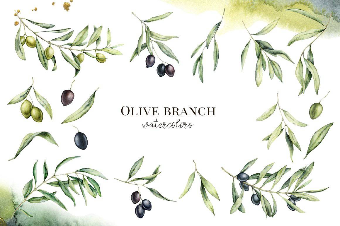 Olives Watercolor Elements Collection - Artixty