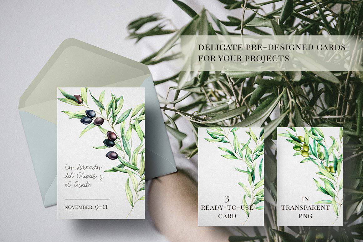 Olives Watercolor Elements Collection - Artixty