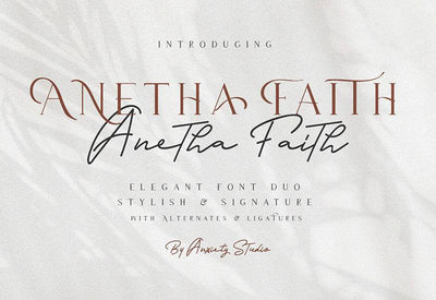 The Massive Vintage Font Bundle - 15 Fonts