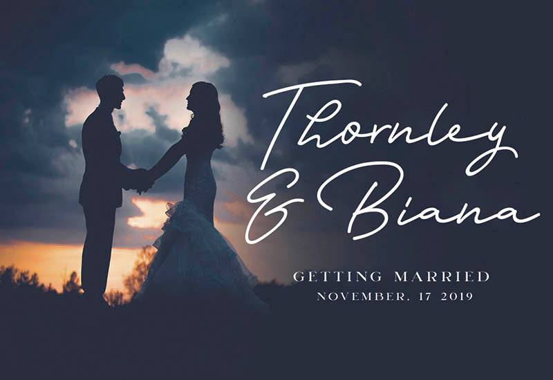 The Massive Vintage Font Bundle - 15 Fonts
