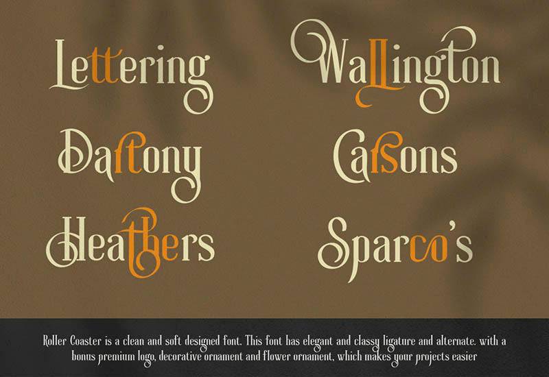 The Massive Vintage Font Bundle - 15 Fonts
