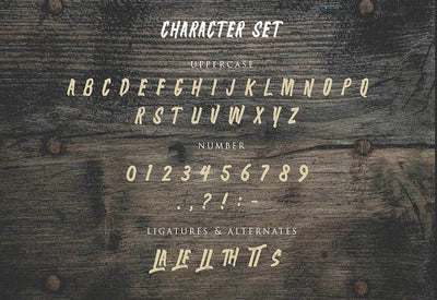 The Massive Vintage Font Bundle - 15 Fonts