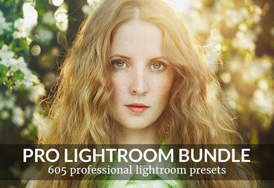 605 Professional Lightroom Presets Bundle - Artixty