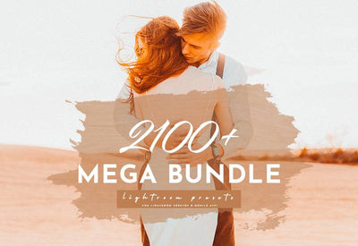 2100+ Lightroom & ACR Presets Bundle - Artixty