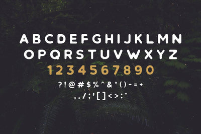 The Retrospective Bundle Of Fonts And Logos - Artixty