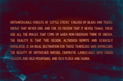 The Retrospective Bundle Of Fonts And Logos - Artixty