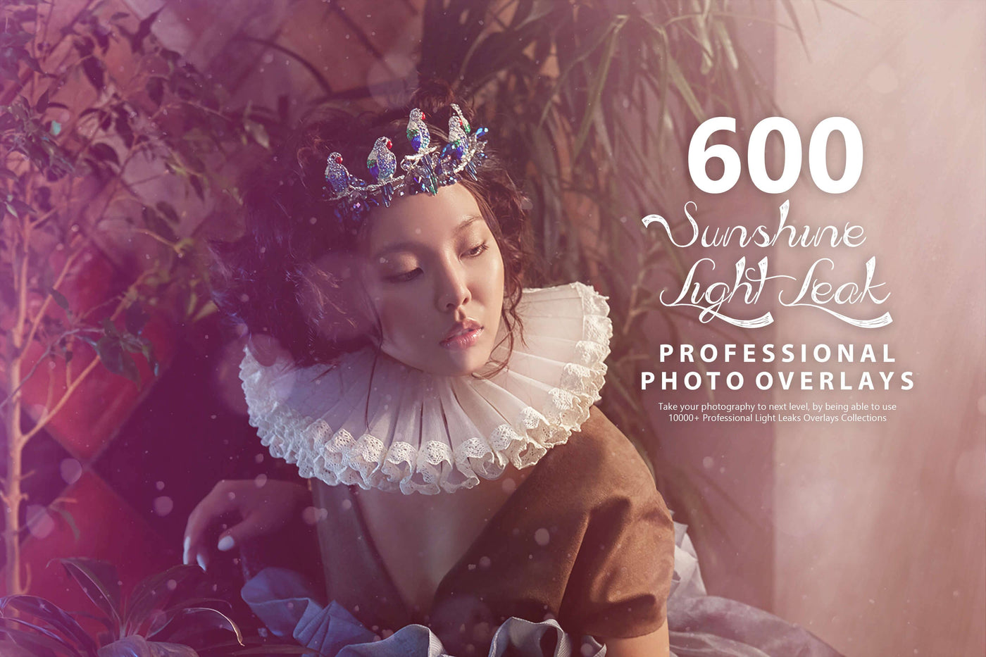 10,000+ Professional Light Leaks Photo Overlays - Artixty