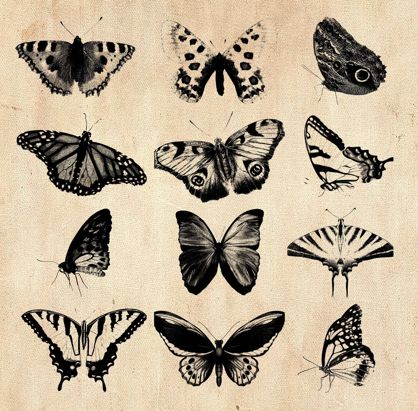 2000+ Vintage Illustrations Bundle - Artixty