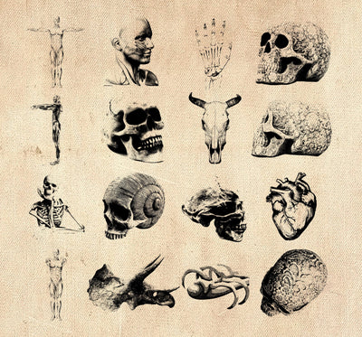 2000+ Vintage Illustrations Bundle - Artixty