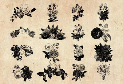 2000+ Vintage Illustrations Bundle - Artixty