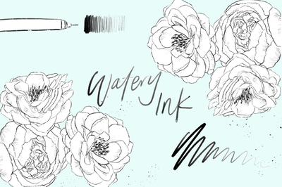 The Pigeon Letters Procreate Brushes Bundle - Artixty