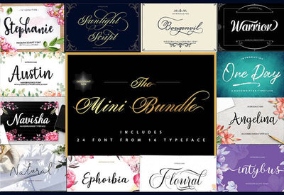 The Professional Font Mini Bundle - 24 Amazing Fonts - Artixty