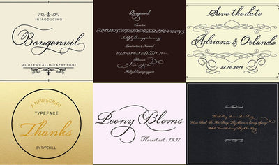 The Professional Font Mini Bundle - 24 Amazing Fonts - Artixty