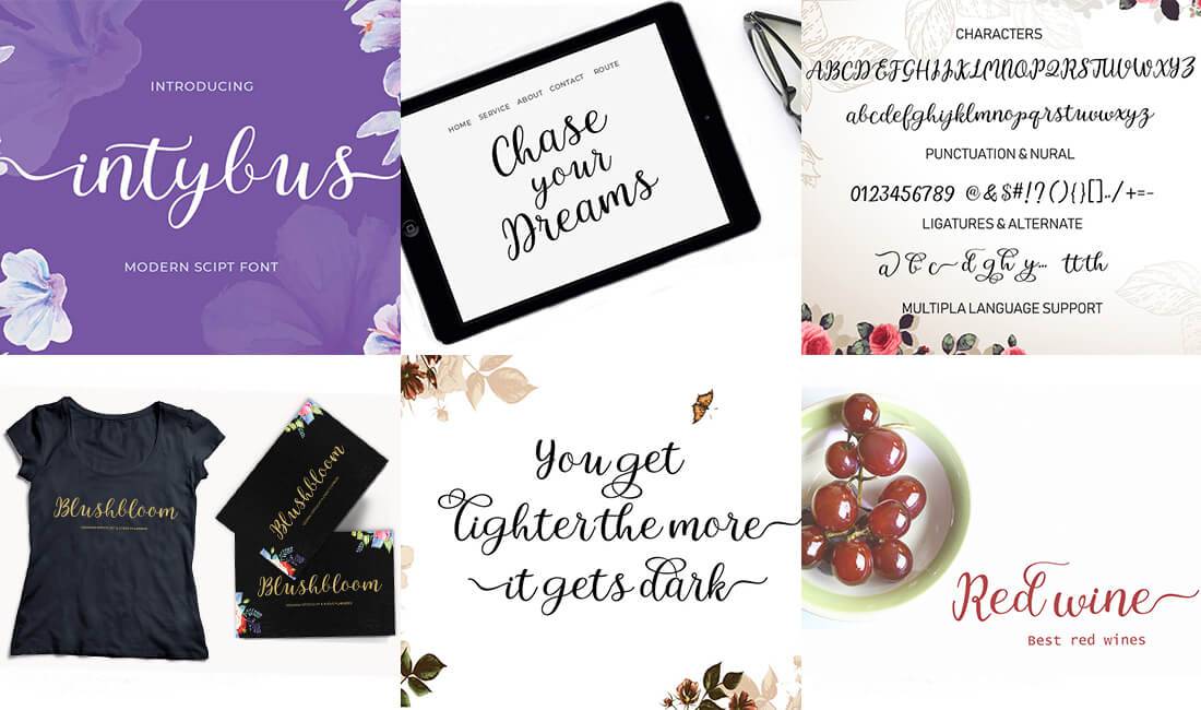 The Professional Font Mini Bundle - 24 Amazing Fonts - Artixty
