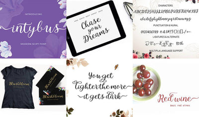 The Professional Font Mini Bundle - 24 Amazing Fonts - Artixty