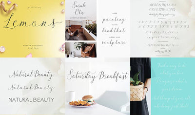 The Professional Font Mini Bundle - 24 Amazing Fonts - Artixty