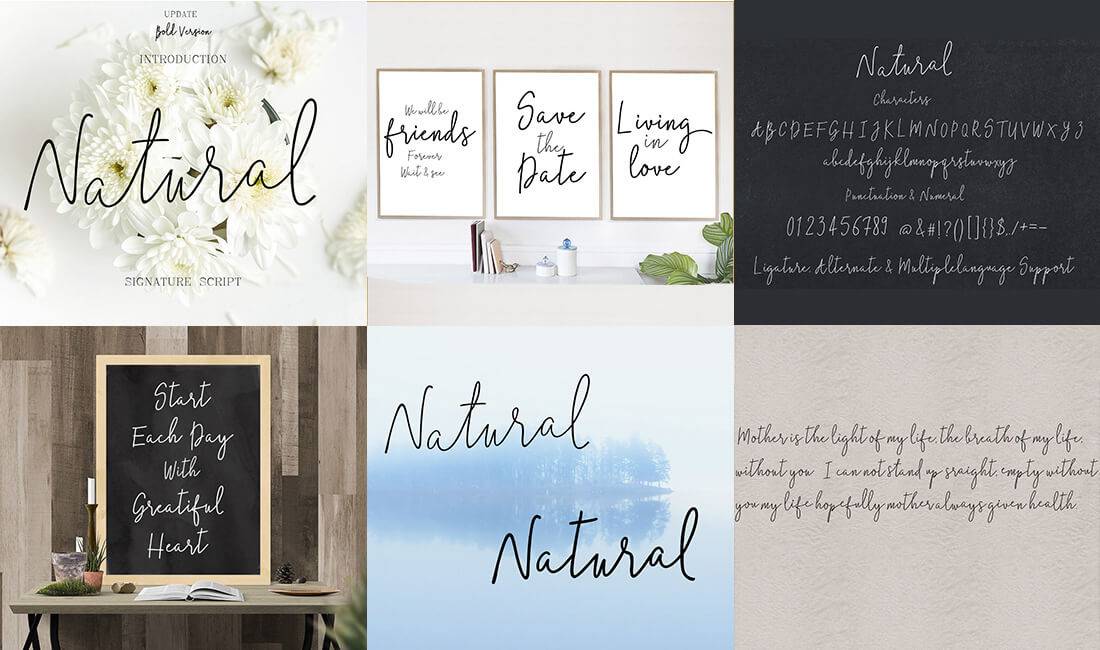 The Professional Font Mini Bundle - 24 Amazing Fonts - Artixty