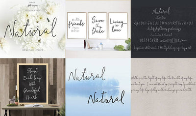 The Professional Font Mini Bundle - 24 Amazing Fonts - Artixty