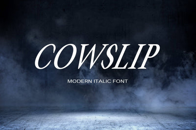 60 Italic Modern Fonts Mega Bundle - Artixty