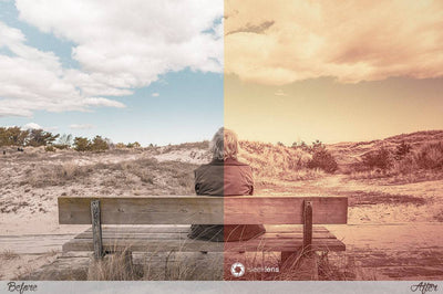 The Ultimate Lightroom Preset Bundle By Sleeklens - Artixty