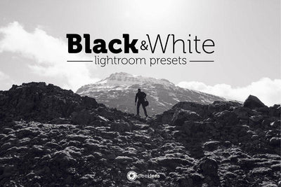 The Ultimate Lightroom Preset Bundle By Sleeklens - Artixty