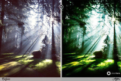 The Ultimate Lightroom Preset Bundle By Sleeklens - Artixty