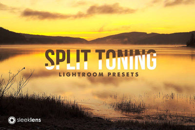 The Ultimate Lightroom Preset Bundle By Sleeklens - Artixty
