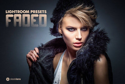 The Ultimate Lightroom Preset Bundle By Sleeklens - Artixty
