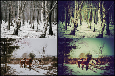 2500+ Christmas & Winter Effects Bundle - Artixty
