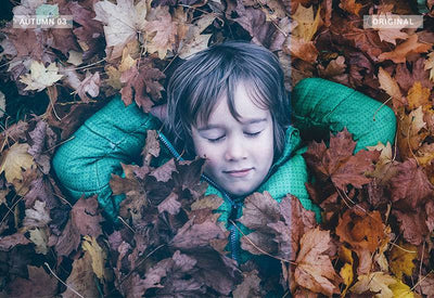 1750+ Magical Bundle Of Lightroom Presets - Artixty