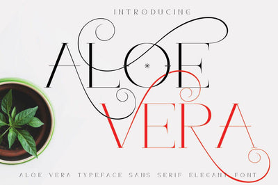 The Spectacular Font Bundle - 15 Fonts Collection - Artixty