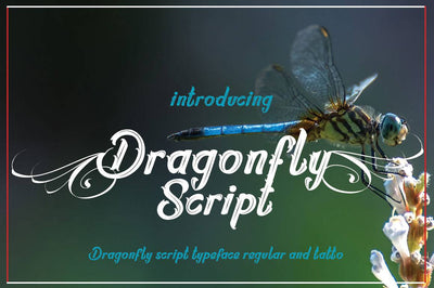 The Spectacular Font Bundle - 15 Fonts Collection - Artixty