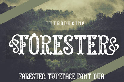 The Spectacular Font Bundle - 15 Fonts Collection - Artixty