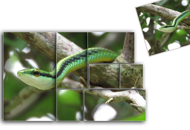 The Stunning Bundle Of 17 Photoshop Actions - Artixty
