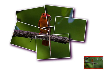 The Stunning Bundle Of 17 Photoshop Actions - Artixty