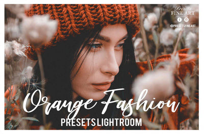 550 Elegant Lightroom Effects Bundle - Artixty