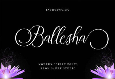 The Creative Font Bundle - 34 Calligraphy Fonts - Artixty