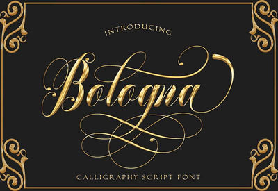 The Creative Font Bundle - 34 Calligraphy Fonts - Artixty