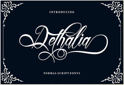 The Creative Font Bundle - 34 Calligraphy Fonts - Artixty