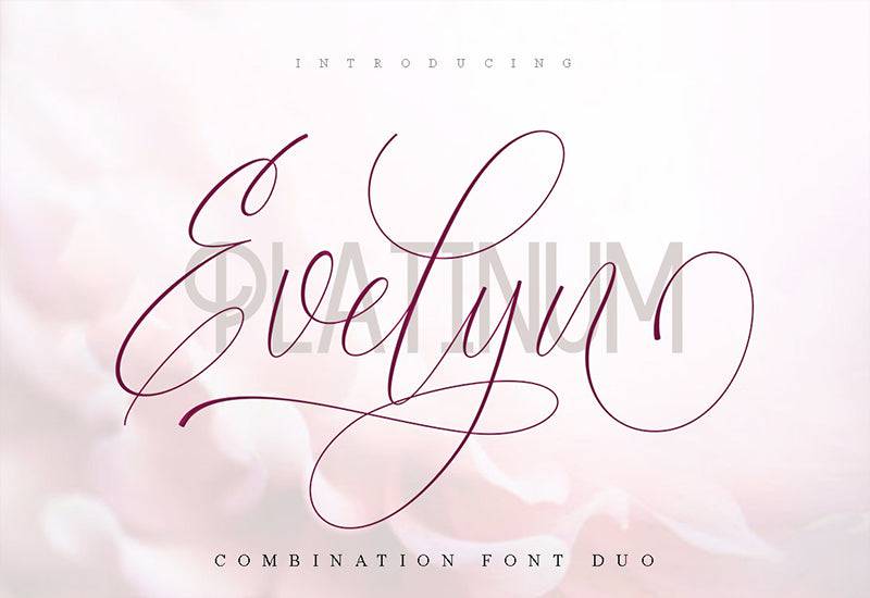 The Creative Font Bundle - 34 Calligraphy Fonts - Artixty