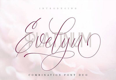 The Creative Font Bundle - 34 Calligraphy Fonts - Artixty