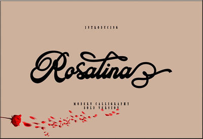The Creative Font Bundle - 34 Calligraphy Fonts - Artixty