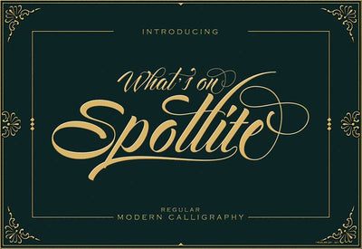 The Creative Font Bundle - 34 Calligraphy Fonts - Artixty