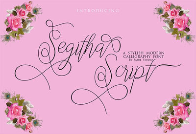 The Creative Font Bundle - 34 Calligraphy Fonts - Artixty