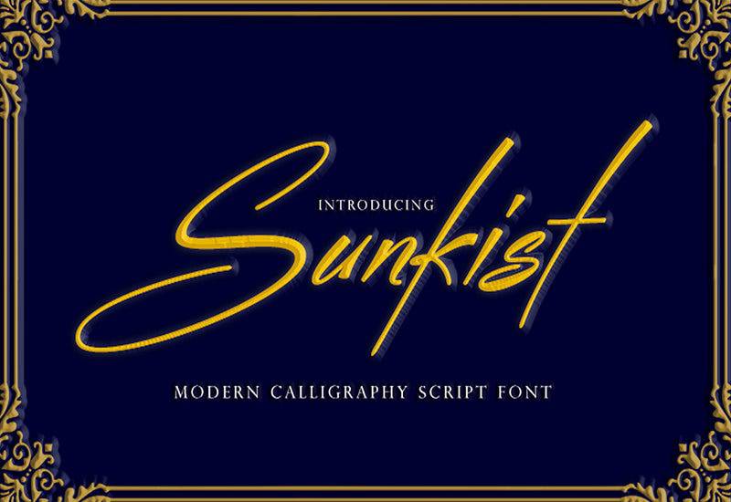 The Creative Font Bundle - 34 Calligraphy Fonts - Artixty